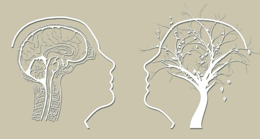 A Është Alzheimer Çrregullim Mendor