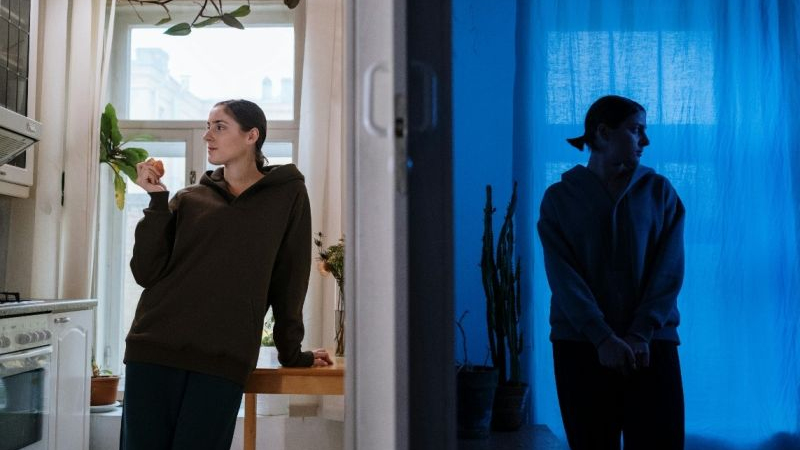 Crregullimi Paranoid Një Udhëzues Mbi Shkaqet, Simptomat Dhe Trajtimi